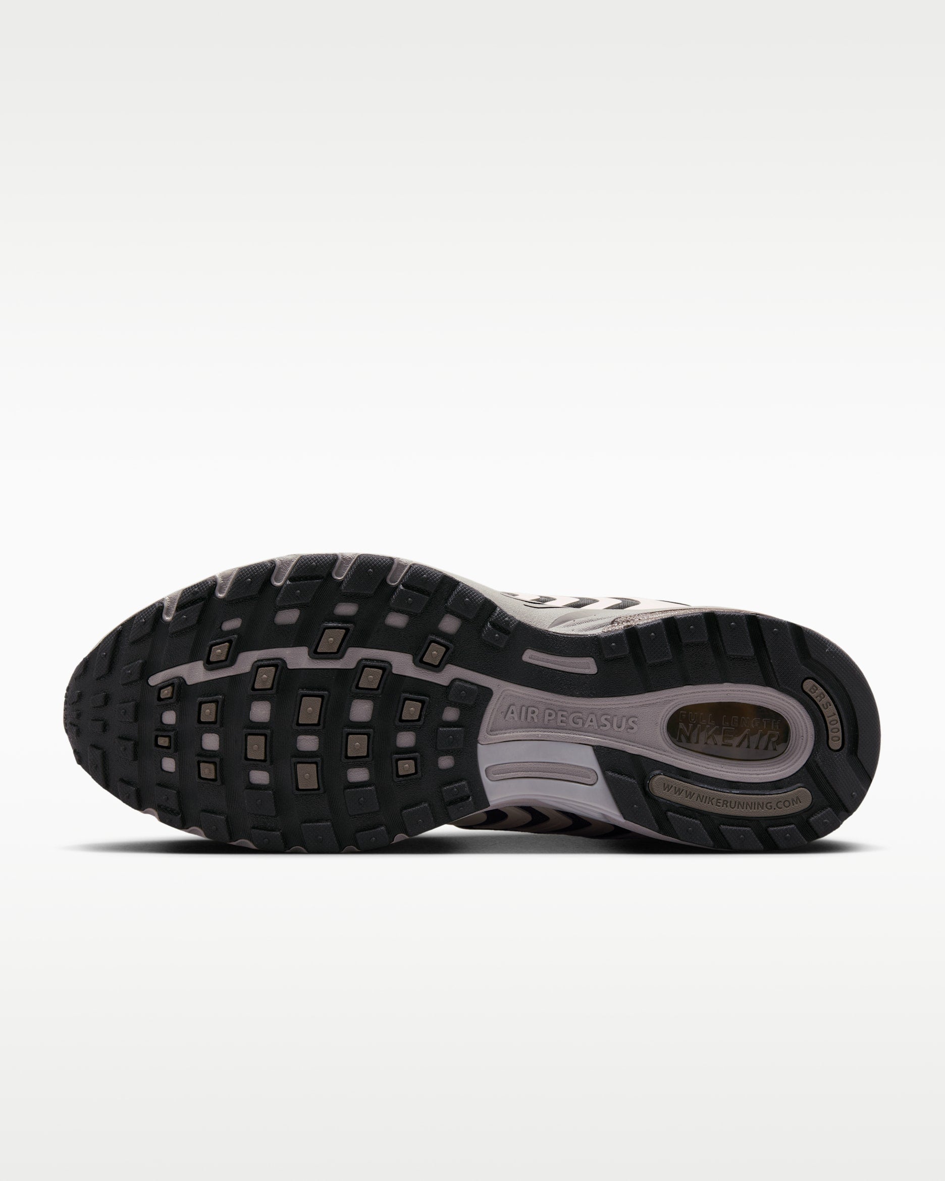 Nike Air Pegasus 2005