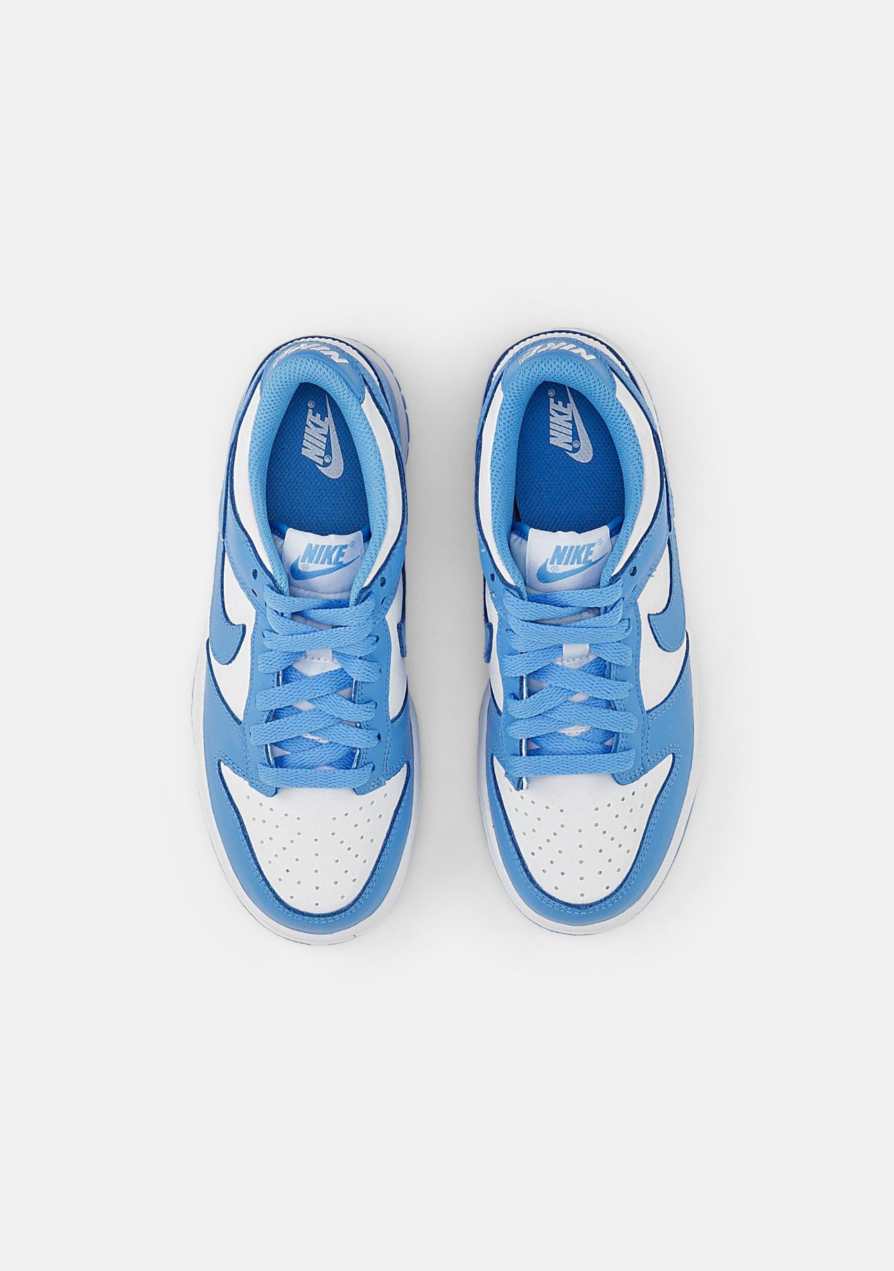 Nike Dunk Low Blue