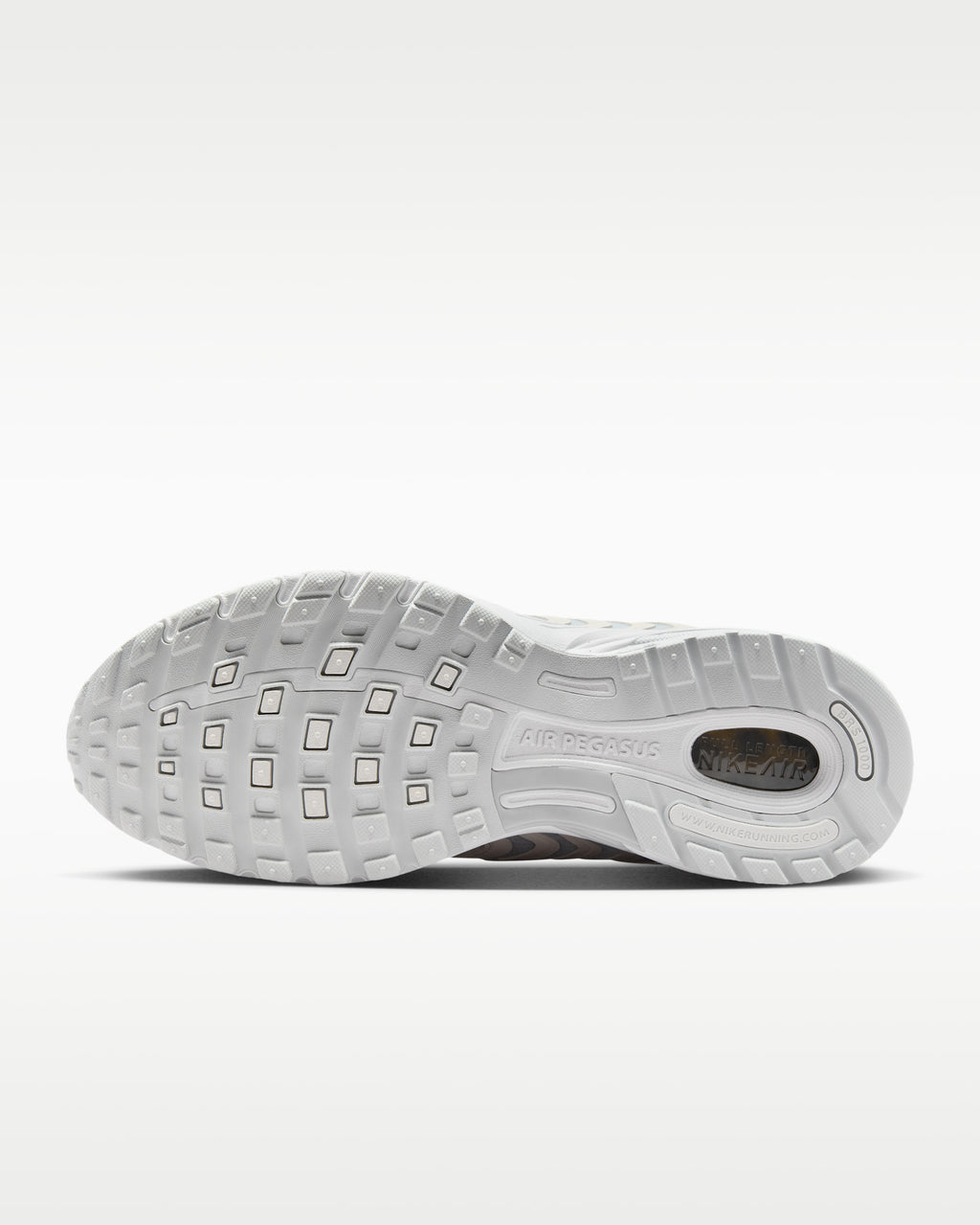 Nike Air Pegasus 2005 SE