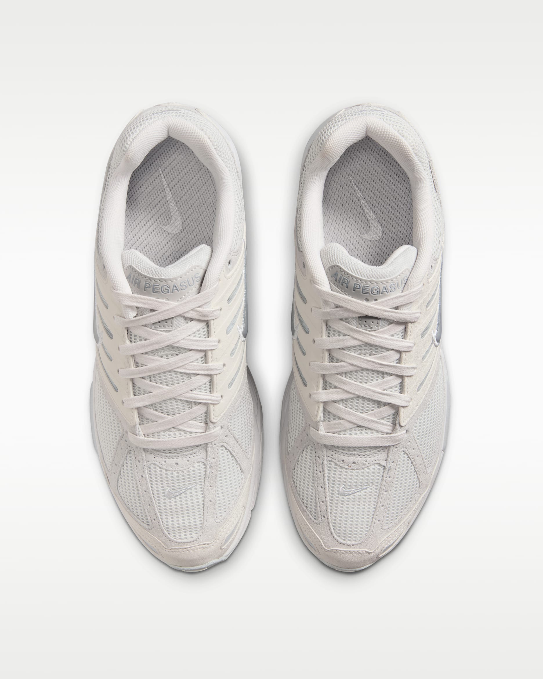 Nike Air Pegasus 2005 SE