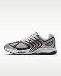 Nike Air Pegasus 2005