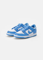 Nike Dunk Low Blue